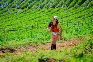 BIB: 2450
                            <button type="button" onclick="openModal(19163559)" class="btn btn-primary btn-sm float-right btn-popup" data-toggle="modal" data-target=".modal-high-quality">
                        <i class="fas fa-shopping-cart"></i> Add to Cart
                    </button>
                                            <button type="button" onclick="isThisMe(19163559, true)" class="btn btn-success btn-sm float-right btn-popup btn-isme hidden" data-toggle="tooltip" data-placement="bottom" title="นี่คือรูปของคุณใช่ไหม คลิกที่นี่เพื่อเอาเข้าอัลบั้ม">
                        <i class="fas fa-plus"></i> Add to album
                    </button>
                    <button type="button" onclick="isThisMe(19163559, false)" class="btn btn-warning btn-sm float-right btn-popup btn-isnotme hidden">
                        <i class="fas fa-ban"></i> Remove from album
                    </button>